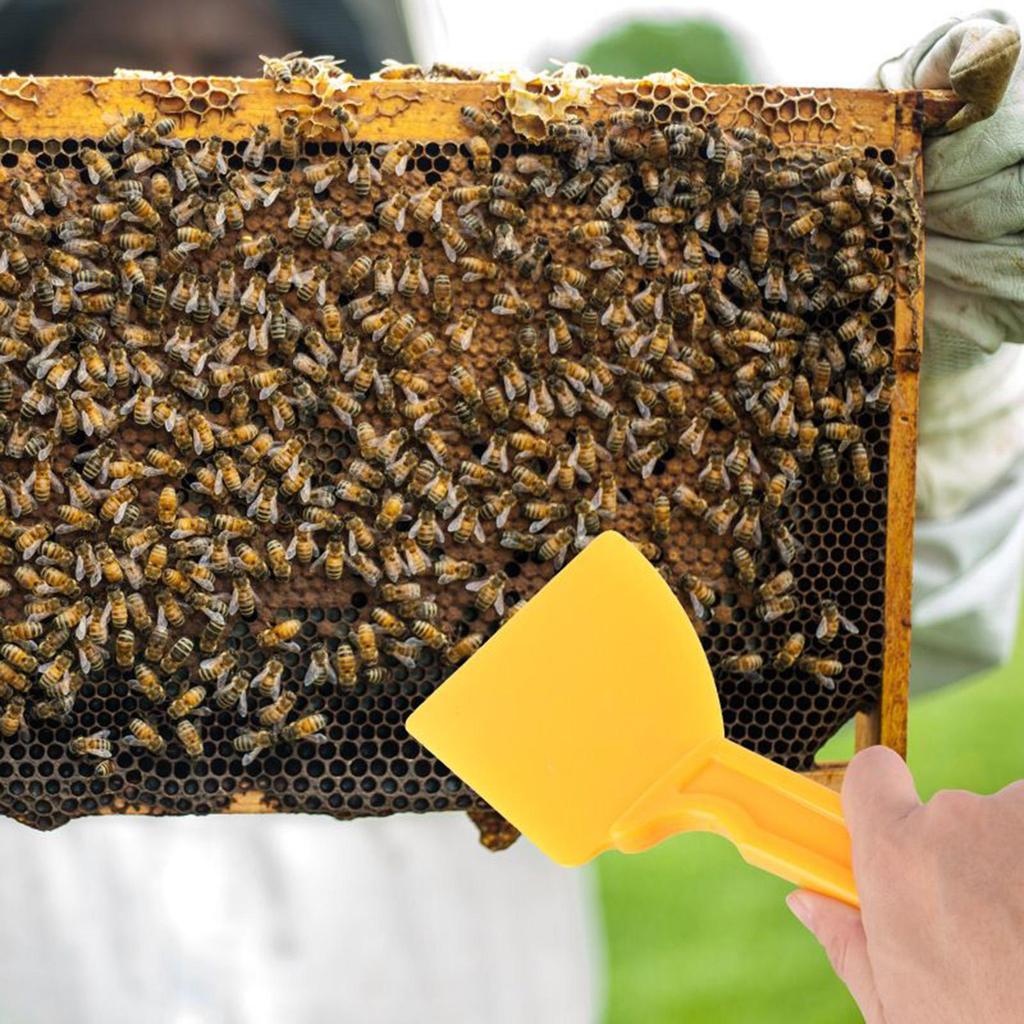 Honey Scraper Shovel Heavy Duty Honey Cleaning Scraper Professional Honeycomb Beekeeping Tool For Processing And Harvesting