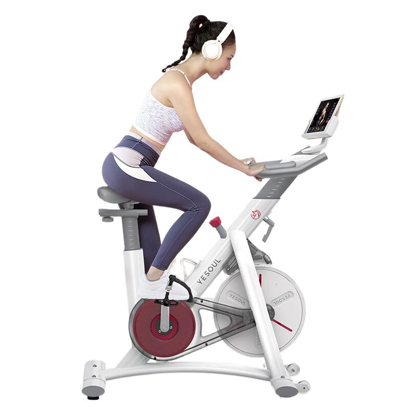 YESOUL S1 Smart Magnetic Spin Bike