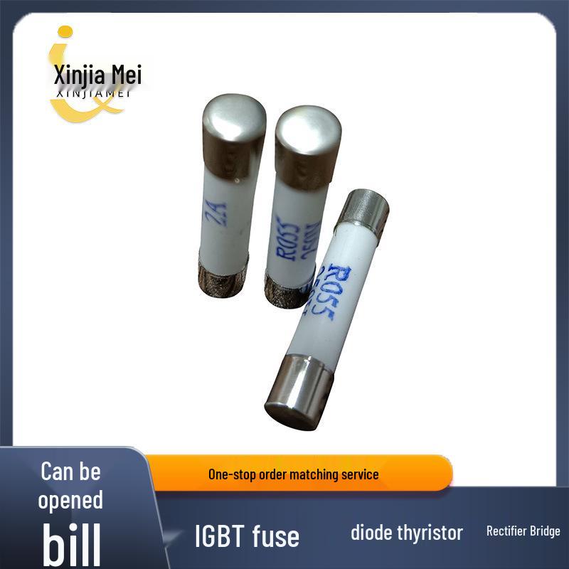 

R055 Low Voltage Fast Blow Fuse 250V 2A/10A/15A/20A/25A 2A