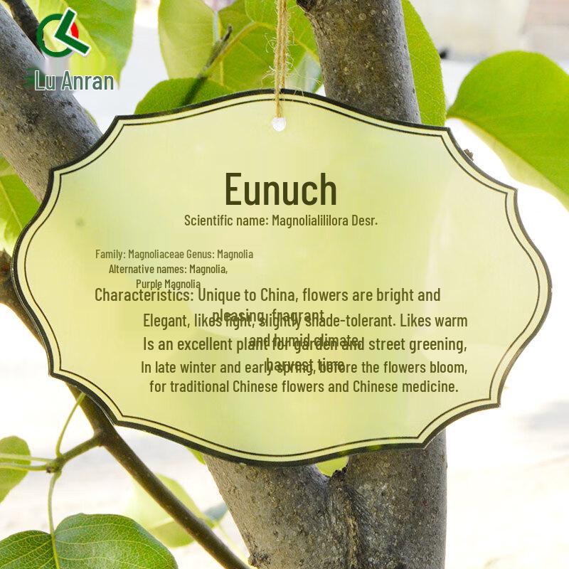 Акриловая табличка для идентификации растений