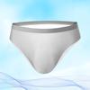 Summer Ultra-Thin Ice Silk Sexy Men Briefs Translucent Low-rise Seamless 3D U Convex