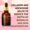 The SKIN HOUSE - Wrinkle Collagen Ampoule