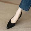 Retro Polished Thick-heeled Single Shoes for Women In the Spring and Autumn of 2025, the New Pointed Head, Shallow Mouth, Simple Commuting, One-pedal