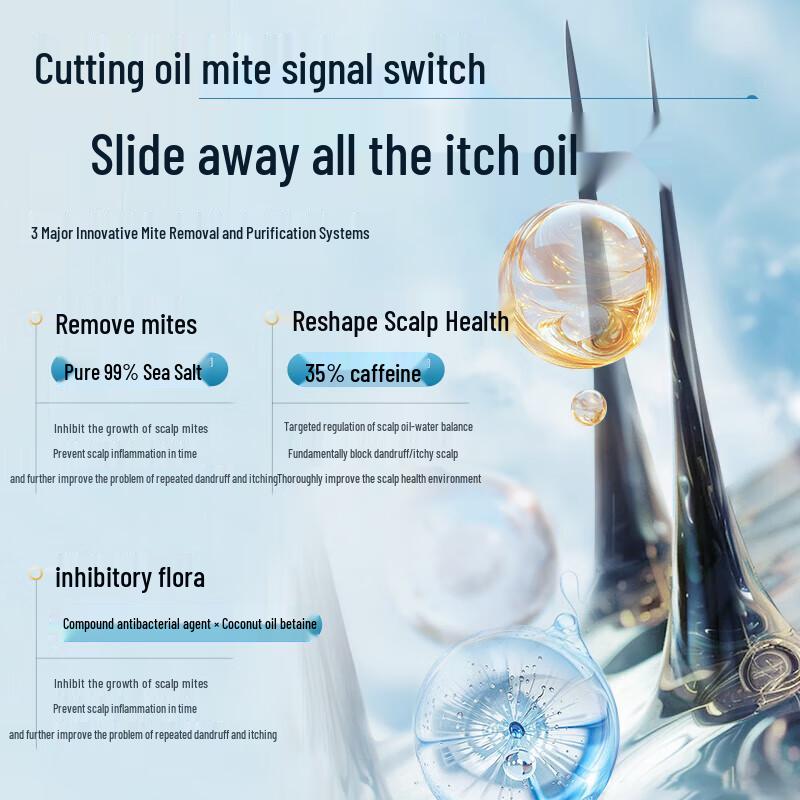 RUYI Sea Salt Amino Acid Volumizing Shampoo