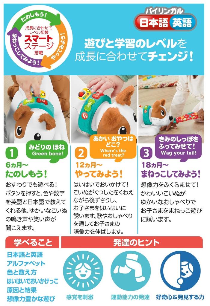 Fisher-Price Chase with Puppy! Bilingual Puppy [6 Months and Up] [Baby Toy] HGY01