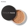 FOCALLURE - Invisible Finish Loose Setting Powder - 3 Colors