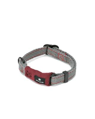 Perros – Collares y correas