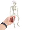 Ornaments Biology Teaching Car Interior Accessories Skeleton Model Halloween Props Car Rearview Mirror Pendant Human Bones