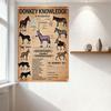 Vintage 'Donkey Knowledge' Educational Metal Tin Sign - Equine Species Comparison, Old Zoological Print Wall Decor for Home/Bar/