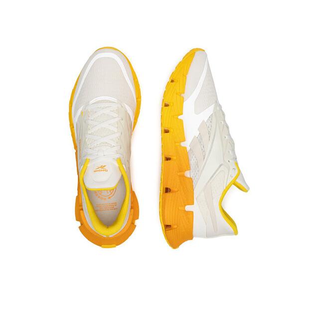 Мужские кроссовки Reebok Floatzig 1 100212133 белый