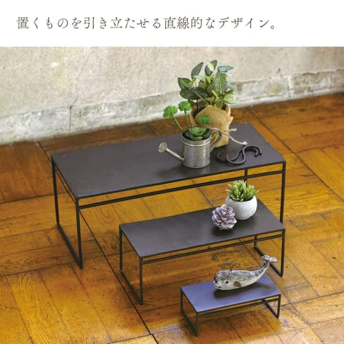 Spice (Spice) SPICE OF LIFE Display Stand, Wide, Joseph Iron, Dark Brown, Small, 18 X 9 X 6 Cm (DTFF2801)