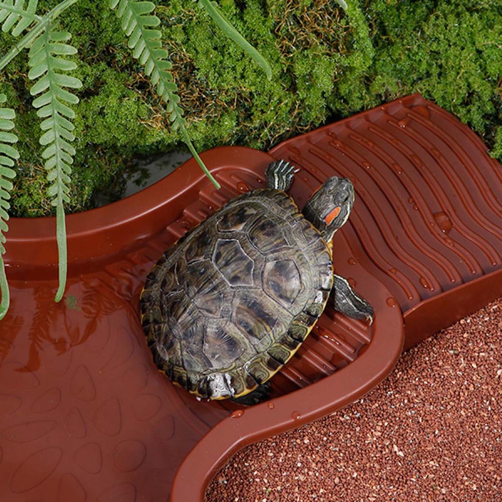 Large Plastic Shelled Animal Bathing Container With Slip Resistant Slope For Water And Land Animals