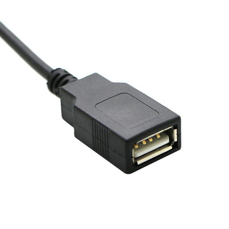 Alfa Romeo/Fiat/Lancia AUX & USB Dual Audio Input Cable