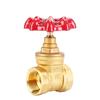 Genuine AMECO Brass Gate Valve for Cold/Hot Water - Thickened, High-Temperature Threaded Design.