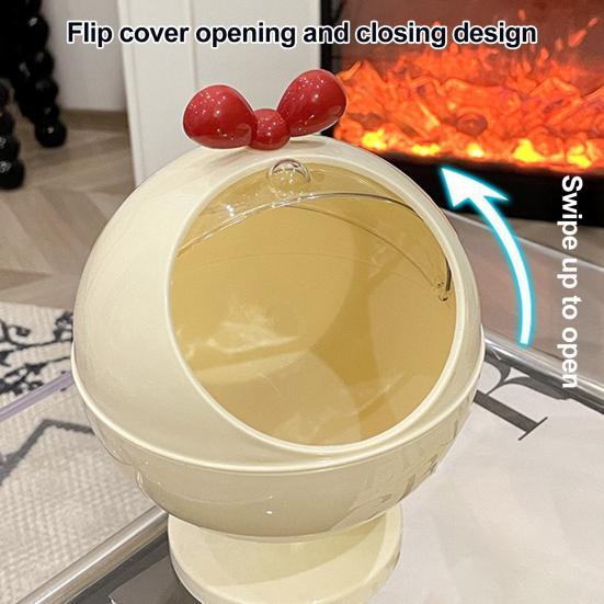 Desktop Storage Box Hair Accessories Storage Organizer with Transparent Lid Durable Construction Storage Holder Dustproof Box