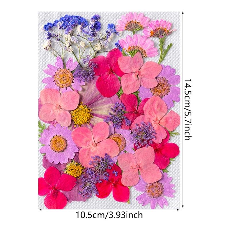Colorful Real Dry Herbs Set Assorted Dried Flower Bundle Pressed Flower for Creative Scrapbook and Decors
