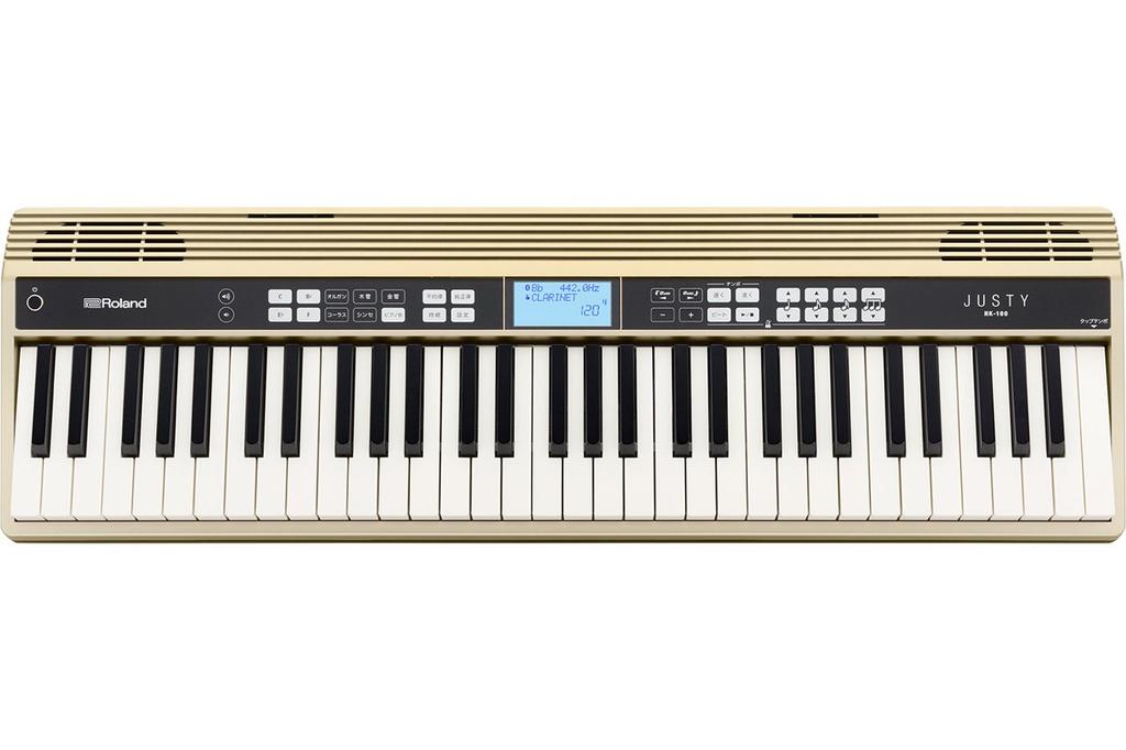 Roland Harmony Rhythm Practice Keyboard Roland/JUSTY HK-100 &