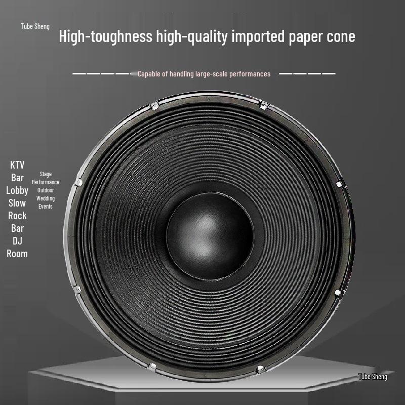 12/15/18 Inch High Power Mid-Bass Subwoofer with 280 Magnet & 125 Voice Coil for Outdoor Performance