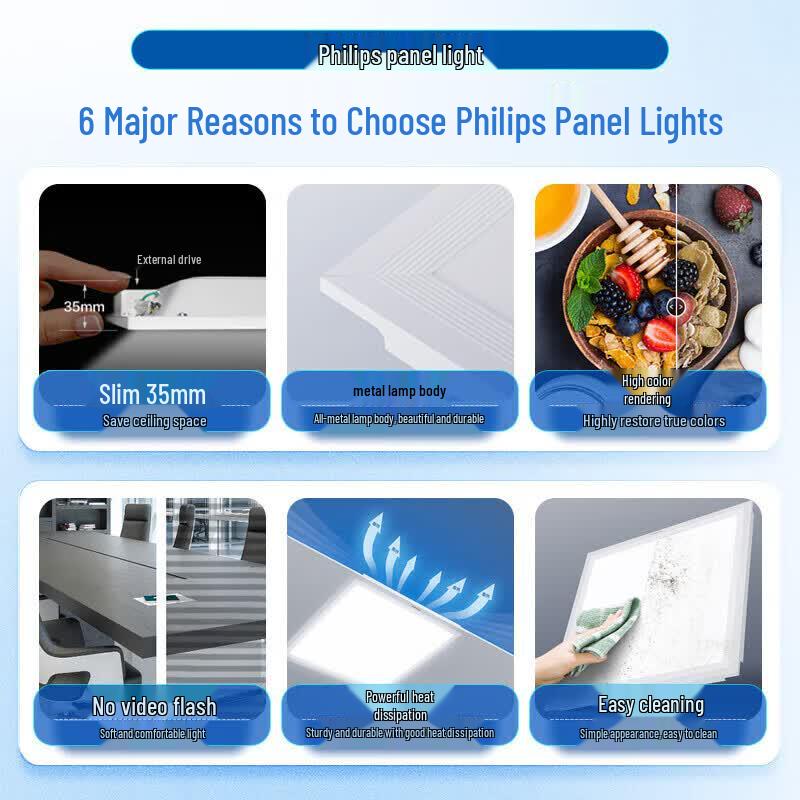 Philips LED Flat Panel Light