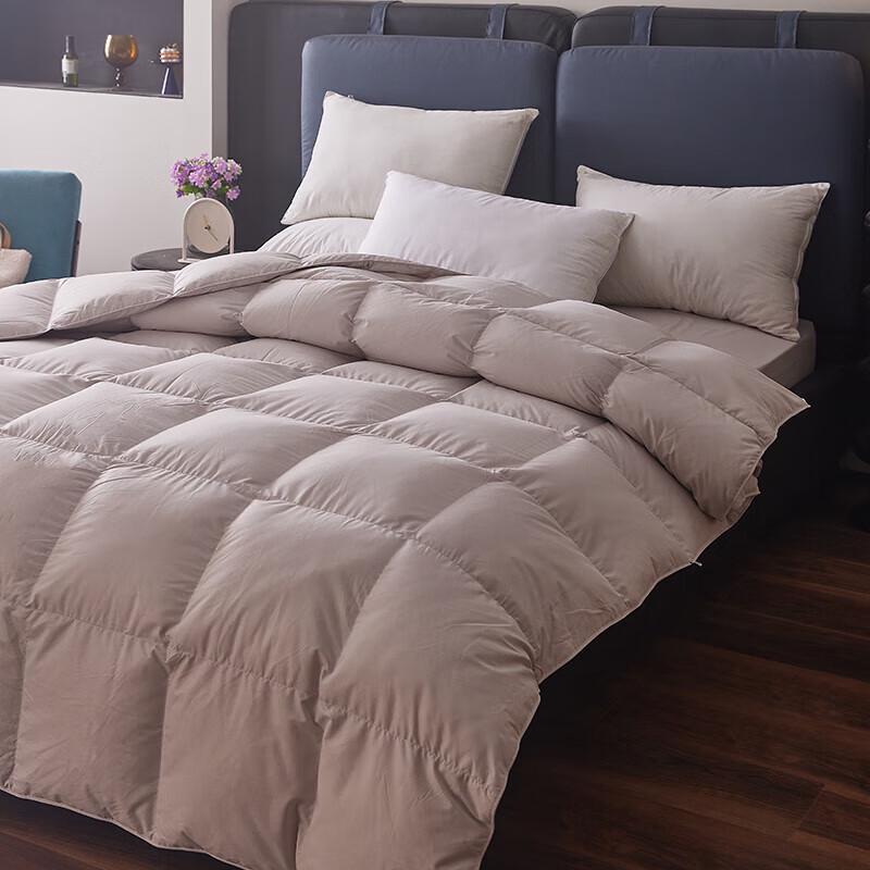 

Hengyuanxiang HYX162BZ Polyester Fiber Winter Quilt