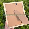100 Crystal Mineral Specimens: Raw Agate Geological Teaching Ornaments - Science Education Stone Photo Frame