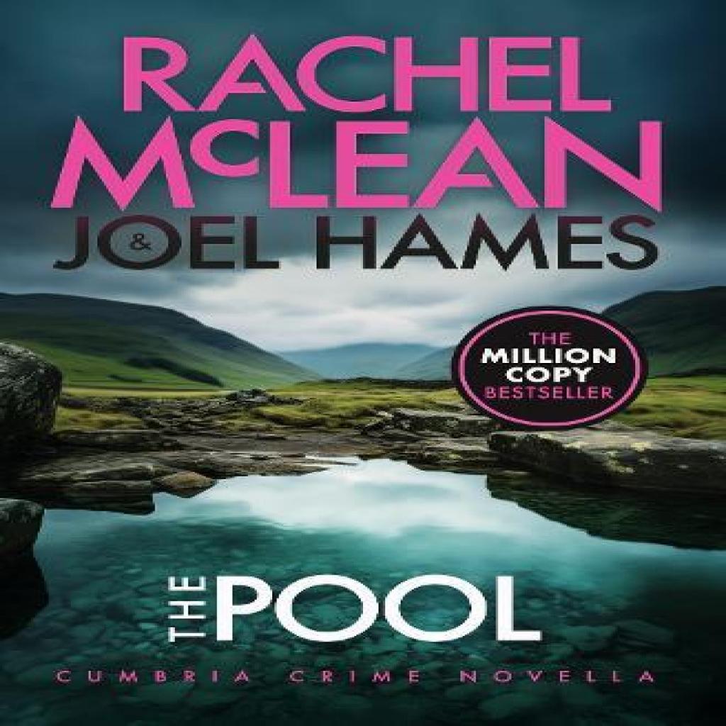 The Pool by Joel Hames Paperback Book 9781835602379