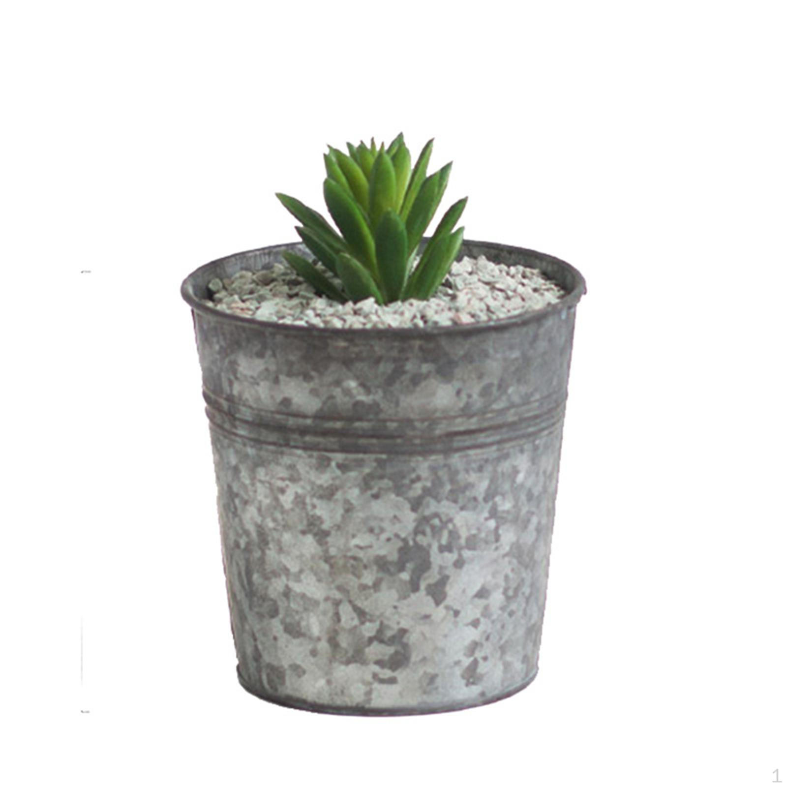 

Pots Plant Planter Vintage Style Iron Bucket Small Tin Pot Container Box for indoor and