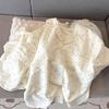 Women's Summer Cotton Pajama Set - Sweet Cardigan, Short Sleeve Top, and Shorts for Home Wear