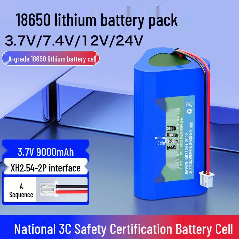 Delipow 18650 Rechargeable Lithium Battery Pack CN plug (adapter included)