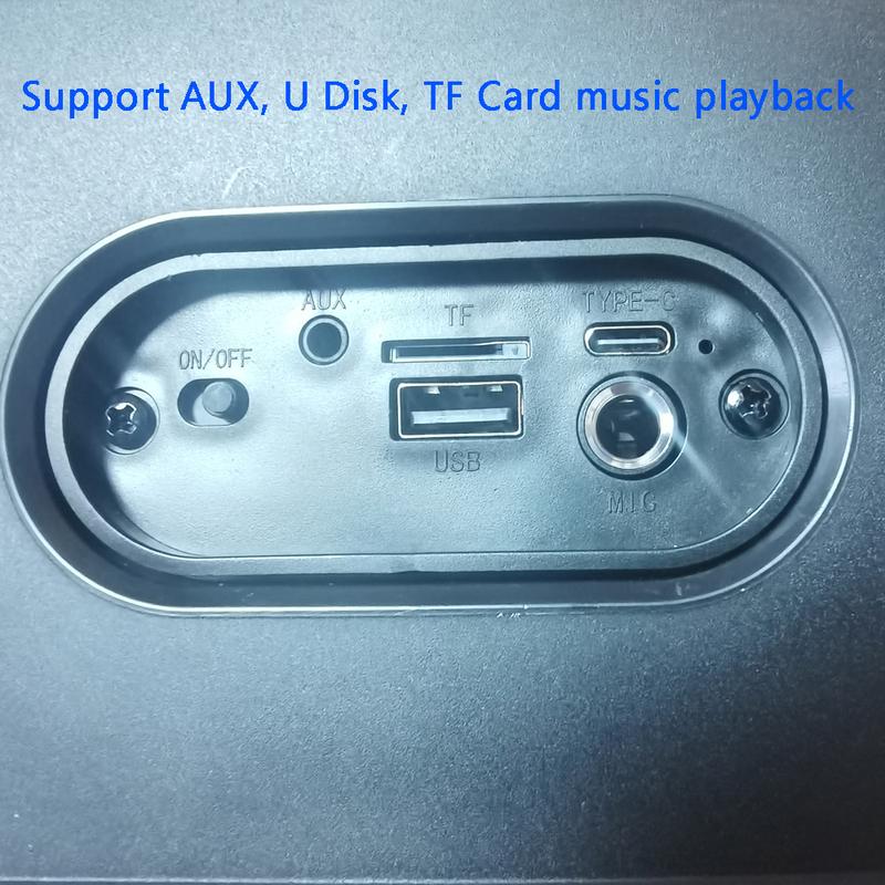 Karaoke Radio FM Bluetooth Speaker Portable Wireless With Microphone Lamp Machine Caixa De Som Sound Box Music Subwoofer LED TWS