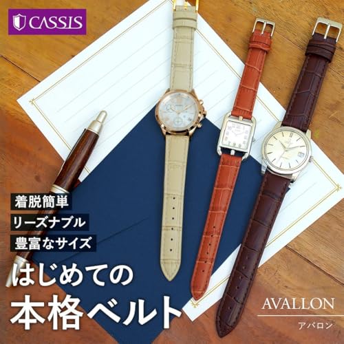 CASSIS AVALLON 20mm Ash Green Calfskin Embossed Watch Strap with Waterproof Backing, Replacement Tool Included, X1022238078020