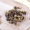 Agaricus Blazei Mushrooms