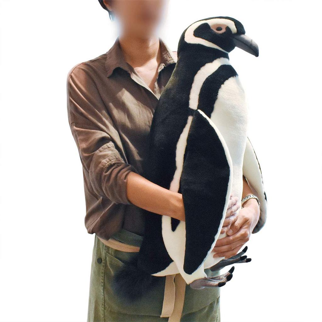 BH7108 HANSA Magellanpinguin 63