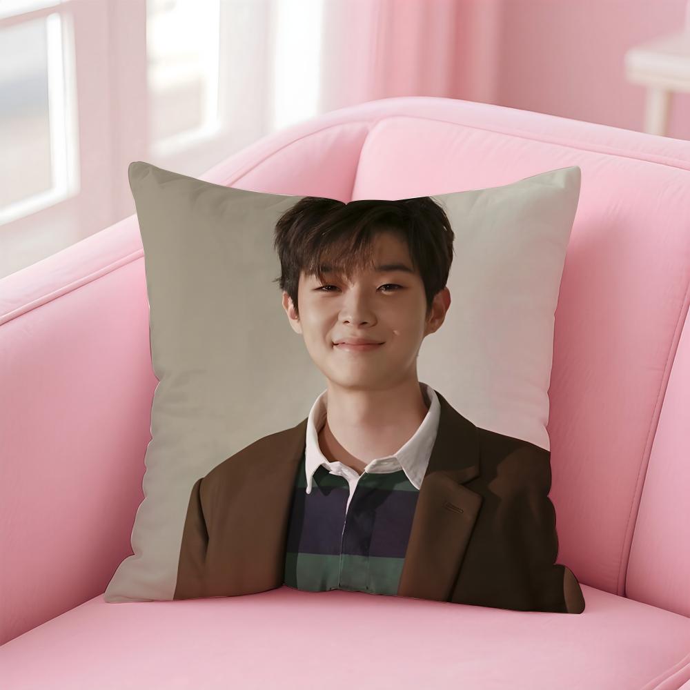 Talented Korean Actor CChoi Wooshik Cushion Cover Pillowcase Short Plush Invisible Zipper Room Sofa Cushion Cover