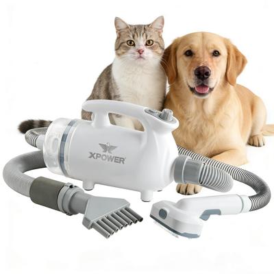 B-117 Quiet Lightweight Pet Hairdryer Low Noiser Dog Grooming Kit Blower