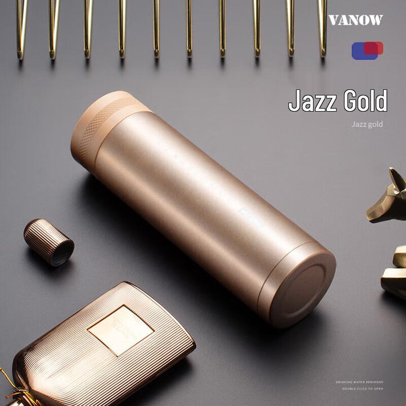 Vanow 500ml 316 Stainless Steel Tea Infuser Thermos