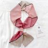 Spring and Autumn New Korean Decorative Slim Long Silk Scarf for Women, Small Neck Scarf, Ribbon Binding, Bag Strap, Headband, Winter Warm Scarf