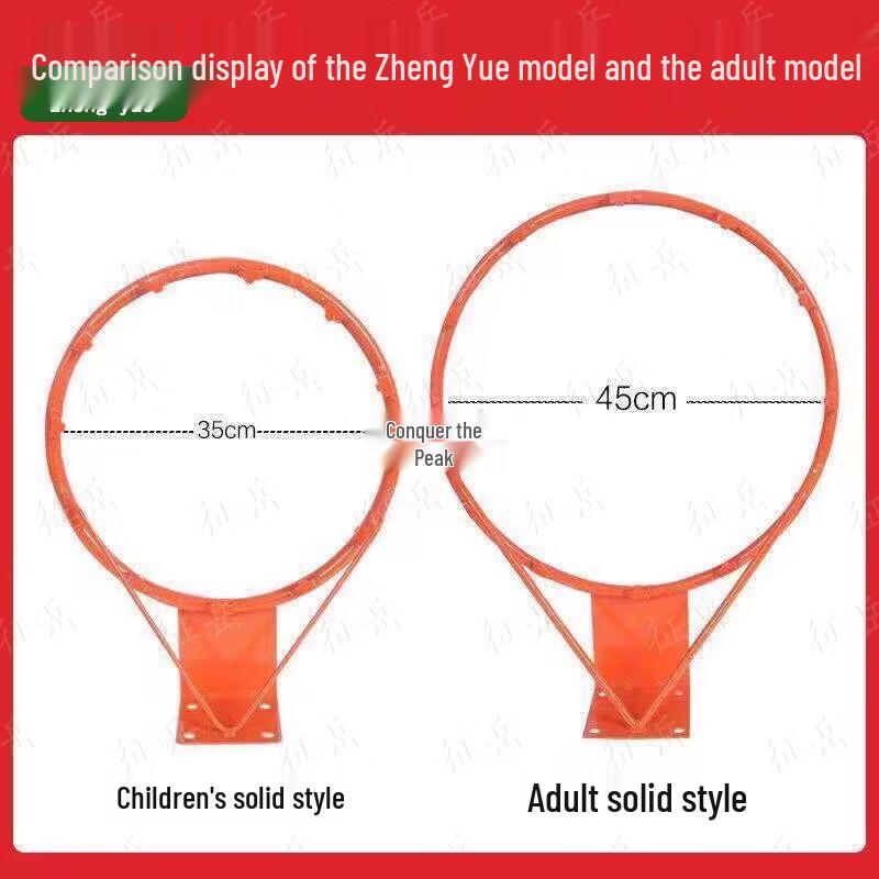 Zhengyue Adult Wall-Mounted Basketball Hoop