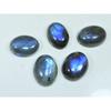 15X20MM Natural Labradorite Blue Fire Oval Cabochon Loose Gemstone 05Pcs Lot C-1063