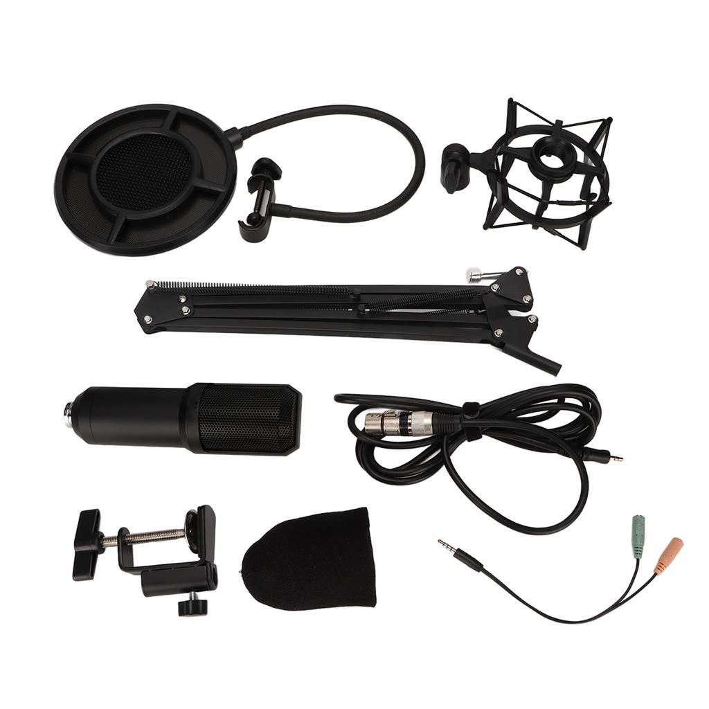 Microphone Professional Recording Game Streaming Media Cardioid Pointing Computer Microphone