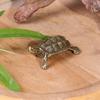 Schildkrötenstatue aus reinem Kupfer, Vintage-Schildkrötenfiguren aus Messing, für den Schreibtisch, Feng Shui-Ornament, Miniaturen, antikes Teehaustier, Basteln, Geschenke