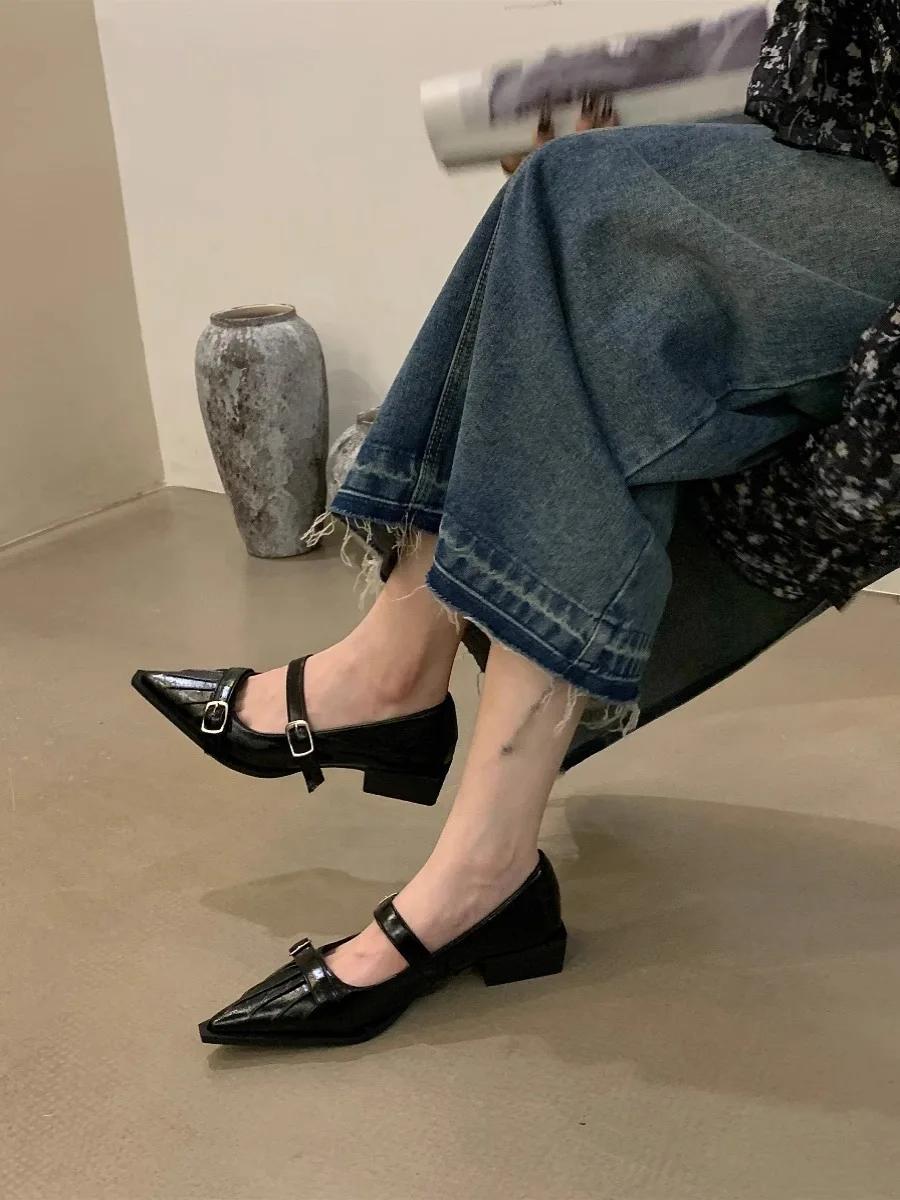 

Модные женские туфли в стиле ретро с острым носком, высококачественные кожаные туфли, туфли Мэри Джейн, женские новые босоножки на толстом каблуке с неглубокой пряжкой 40 чёрный