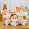 New Cute Fish Kitten Doll Plush Toys Children's Simulated Rag Doll Doll Gift Birthday Gift