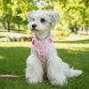 Adjustable Dog Harness Leash Set Cartoon Pattern Breathable Dog Harness Vest Comfort Fit Escape-Proof Pet Walking Rope
