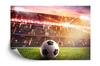 Photomural Soccer Ball In The Stadium Self-Adhesive Mural 312x219