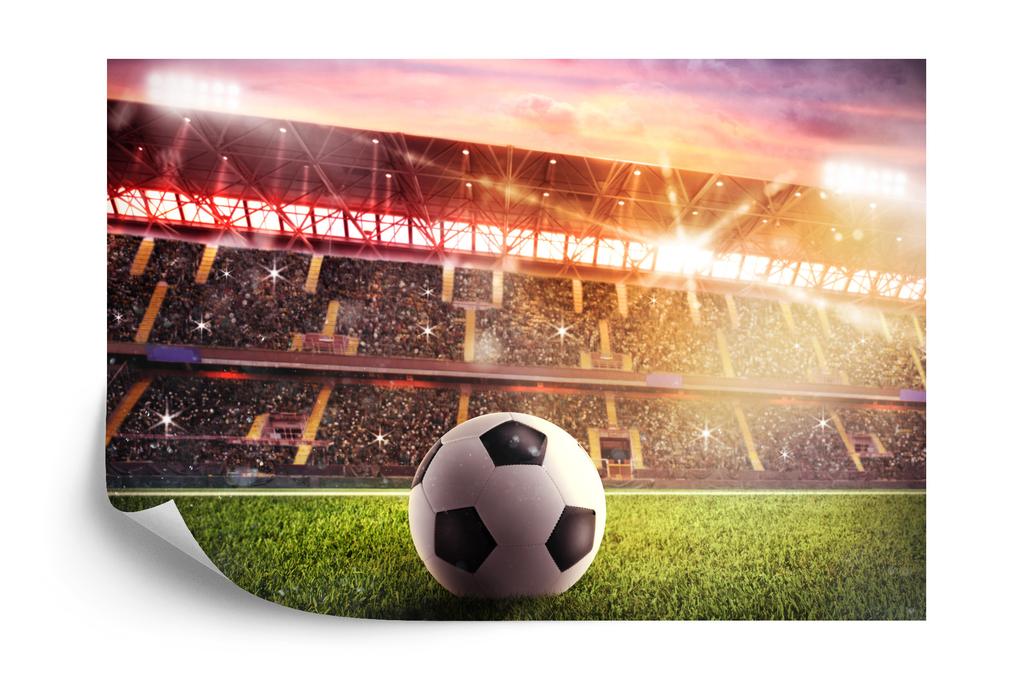 Photomural Soccer Ball In The Stadium Self-Adhesive Mural 312x219
