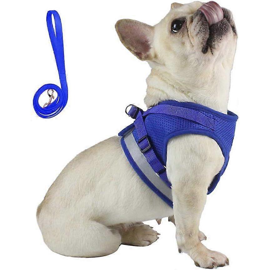Best and Lead Set for Walking. Puppy Vest Harnesses Set for Small Breed Pet Fully Adjustable with Reflective Safe (Large. Blue)