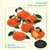 Small Pleasures by Clare Chambers Hardback Book 9781399620833