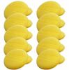 Set of Applicator Pads Sponges for Polishing Paste Hand Polisher 10 Pcs