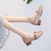 6125-1 Huidong County Daling Shoes Female Thick Heel Fairy Wind Middle Heel Spring Shoes Mary Jane Women's Shoes Single Shoes